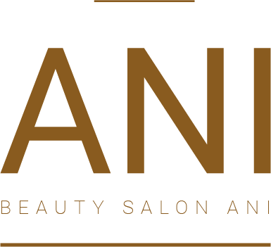 Salon Ani Logo